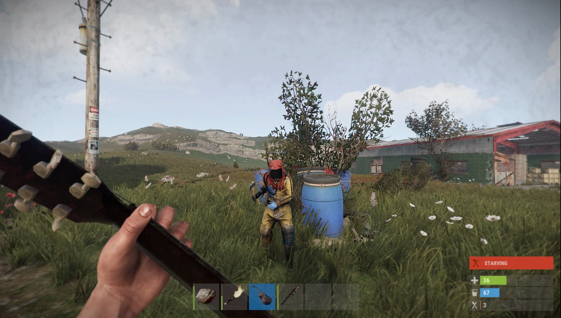 Rust feature